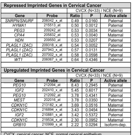 Table 2. 1 DNA Methylation of Imprinted Genes in Cancerous vs. Normal Cervical Tissue  (Hoyo/Murphy Group) 