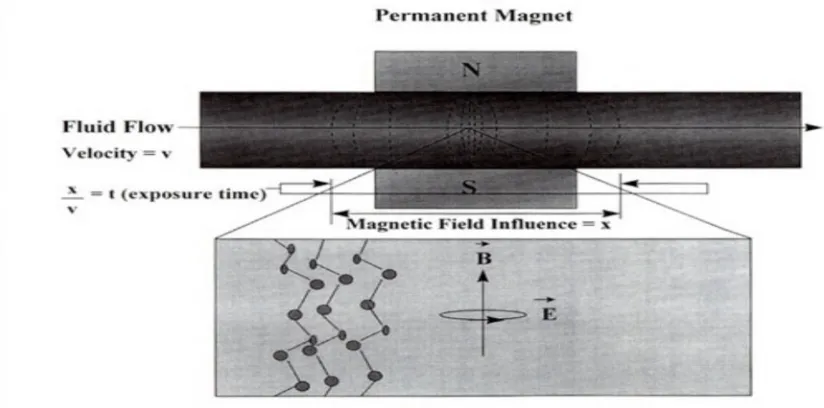 Figure 2. Effect of magnetic field on aggregated molecules 
