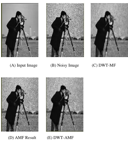 Fig. 4. Image (a) Result on Speckle Noise (standard) 