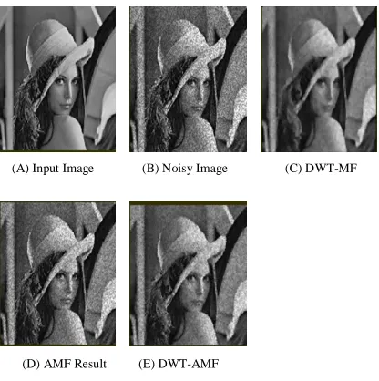 Fig. 6. Image (c) Result on Speckle Noise (standard) 
