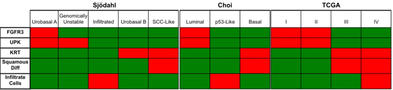 Table 1: Comparison of muscle invasive subtypes 