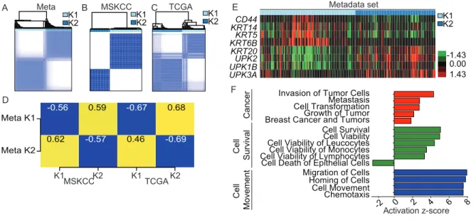 Figure 5: Discovery of two distinct subtypes of bladder cancer 