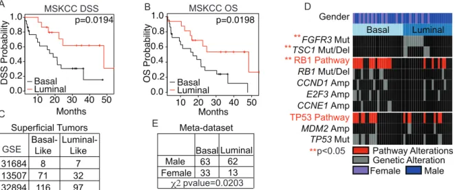 Figure 8: Luminal and basal bladder cancer have differential survival and are  associated with distinct genomic alterations 
