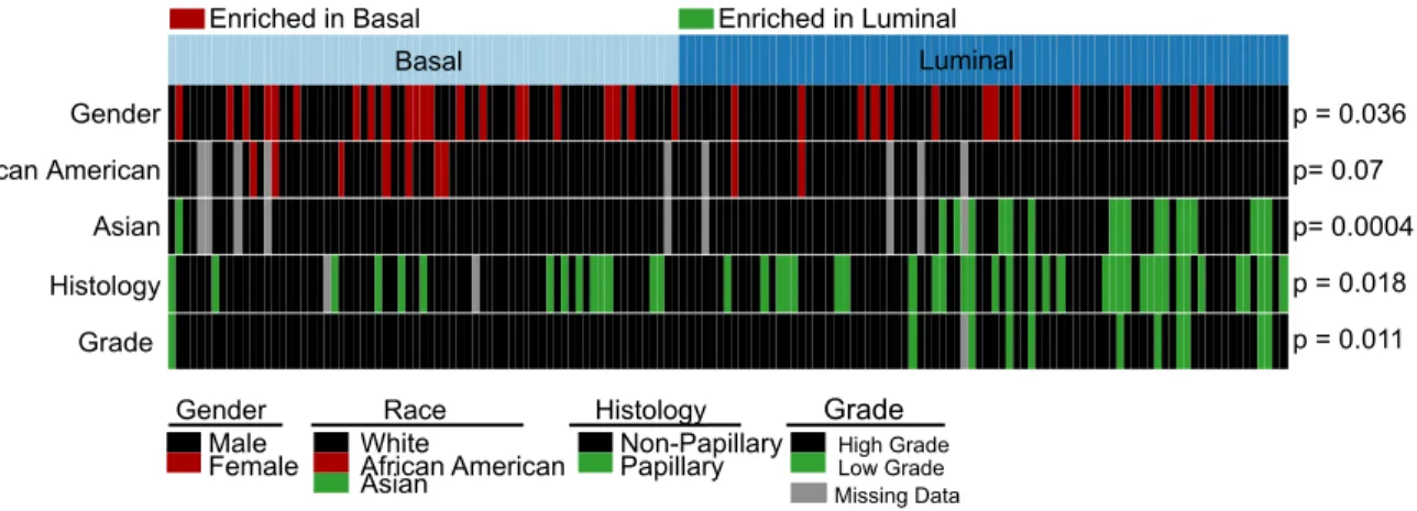 Figure 9: Basal and luminal bladder cancer have distinct clinical features. 