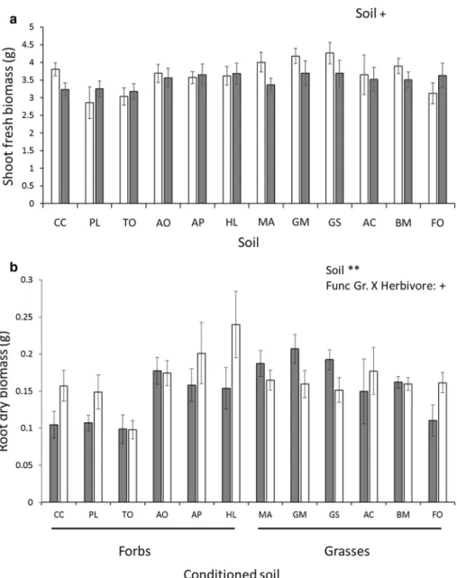 Fig. 1    The effects of soil  conditioning by twelve common  grassland species and herbivory  treatments on a shoot and b root  biomass of Plantago lanceolata