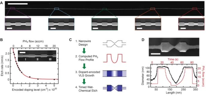 Figure 2.2: Characterization of NW growth, etching, and morphology  