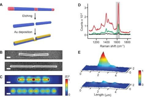 Figure 2.4: Nanogap-encoded NWs for plasmonics 