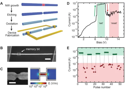 Figure 2.5: Nanorod-encoded NWs for non-volatile memory  