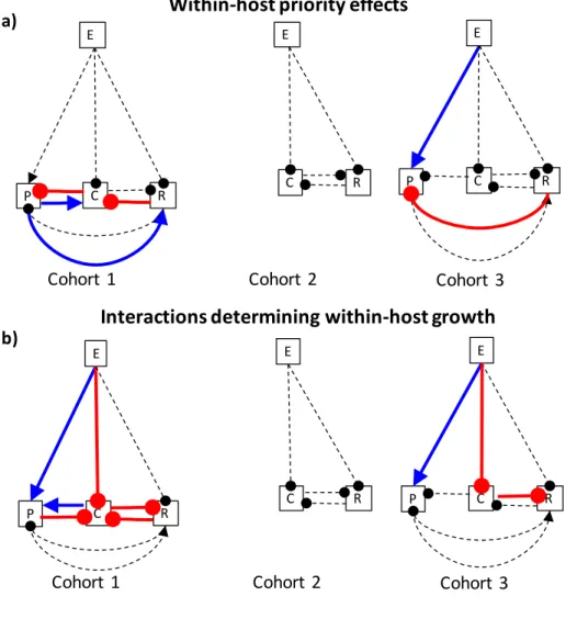 Figure 2.4  – Summary of symbiont interaction network indicated by the interaction models