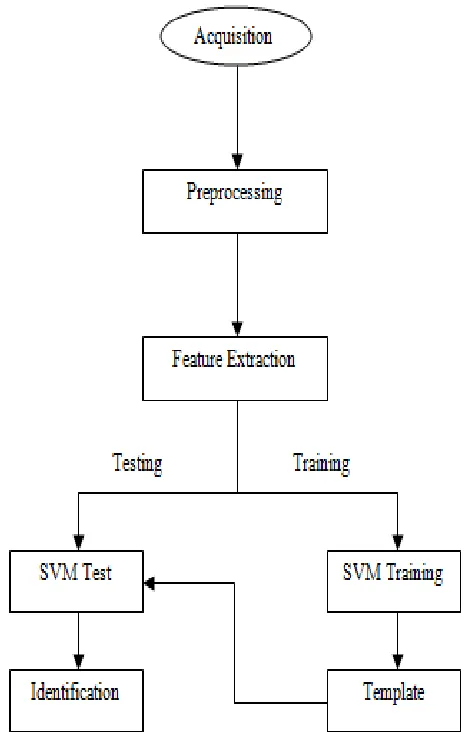 Fig 1. Flow of Proposed Model 