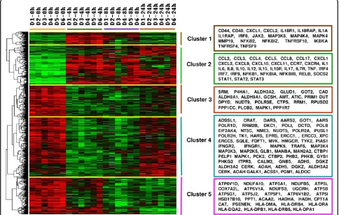 Figure 1 Gene expression changes in maturing DCs. Immature DCs from 6 healthy subjects were incubated with LPS and IFN-g
