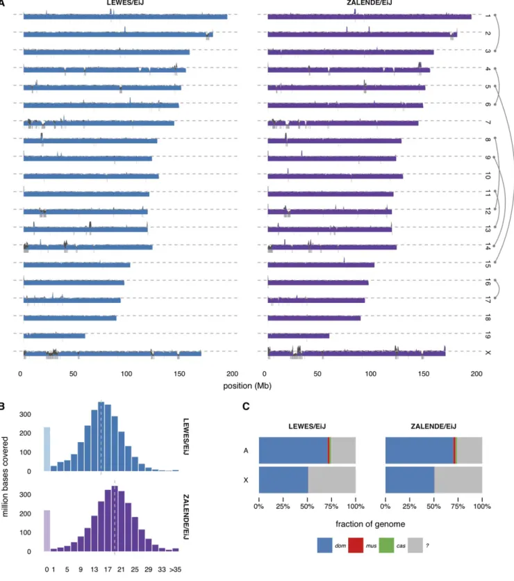 Figure 1 Sequencing coverage. (A) Pro ﬁles of normalized read depth across autosomes and X chromosome