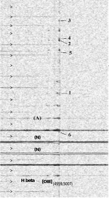 Fig. 1. Portion of the 2D spectroscopic image from MOS/Argus, for the ∼5 00 surrounding the 3C 48 nucleus