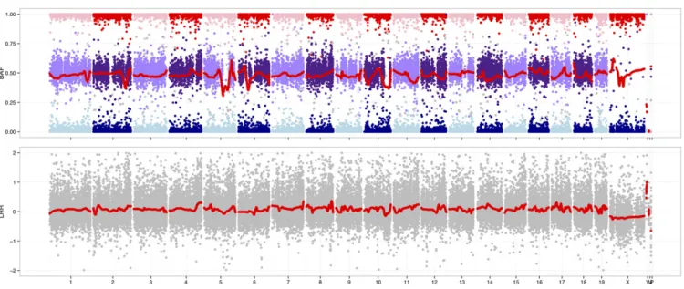 Figure 4 Joint plot of B-allele frequency (BAF, upper panel) and log2 intensity ratio (LRR, lower panel) for an outbred male mouse