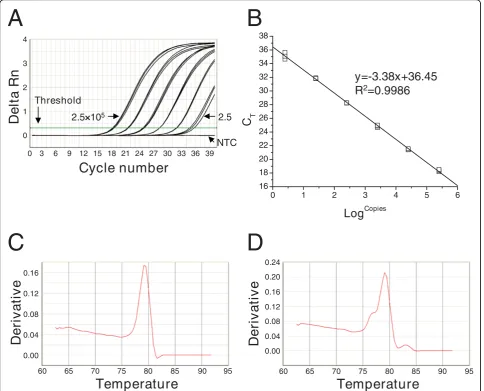 Figure 1 The specificity, sensitivity, and reproducibility of qRT-PCRcontrol (NTC) showed no amplification