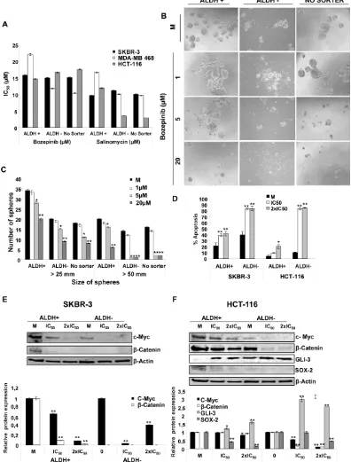 Figure 5: Effects of Bozepinib on ALDH subpopulations. (A) Antiproliferative activities for Bozepinib and Salinomycin against subpopulations ALDH +/- and “No Sorter” cells from breast SKBR-3 and MDA-MB-468 and colon HCT-116 cell lines