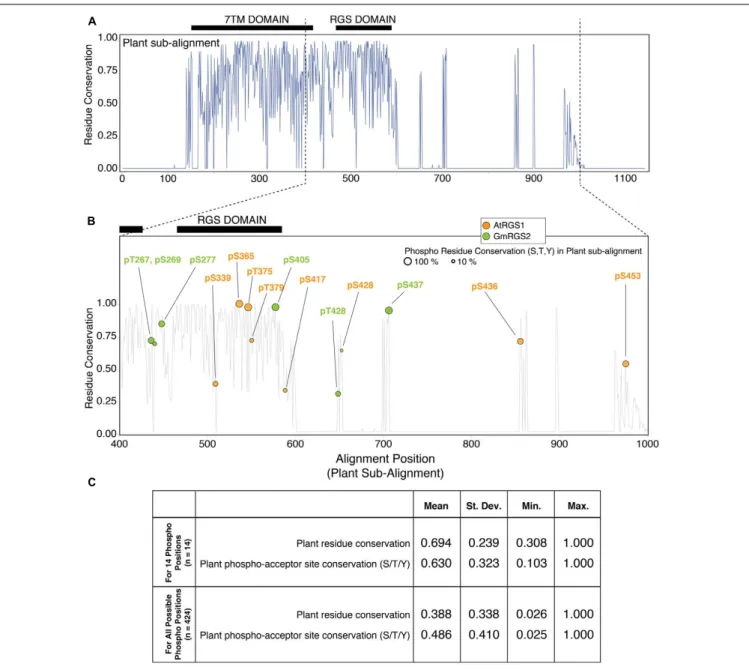 FIGURE 2 | Plant phosphosites are enriched at well-conserved phospho-acceptor positions across 7TM-RGS proteins
