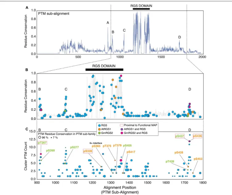 FIGURE 3 | Plant phosphosites are enriched in well-conserved phosphorylation clusters observed in non-plant RGS proteins