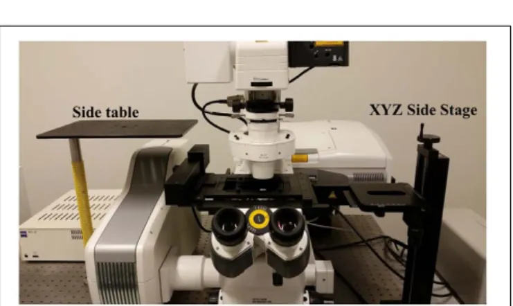 FIGURE 2 | Accessory table configuration on the microscope air table.