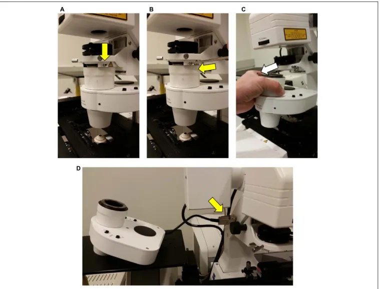 FIGURE 3 | Detachment of the condenser from the Zeiss LSM710 microscope. In order to accommodate the InverterScope, the microscope condenser must be displaced from the Zeiss LSM710