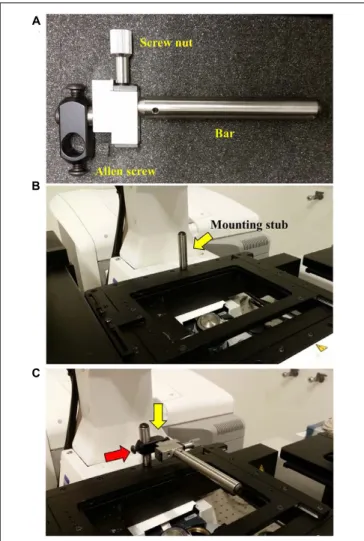 FIGURE 4 | Attaching the Rotation Immobilizer. To prevent the attached InverterScope from drifting or torqueing the lens turret when attached a Rotation Immobilizer is used to stabilize the InverterScope