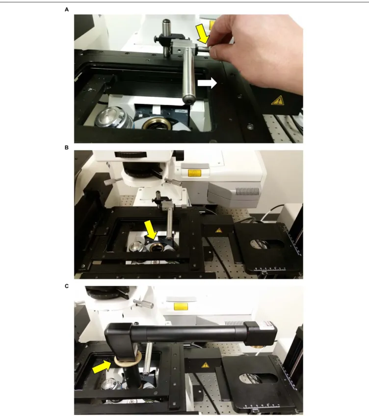 FIGURE 5 | Attaching the InverterScope to the lens turret. (A) Before attaching the InverterScope to an empty port on the objective lens turret, the bar on the Rotation Immobilizer must be moved out of the way