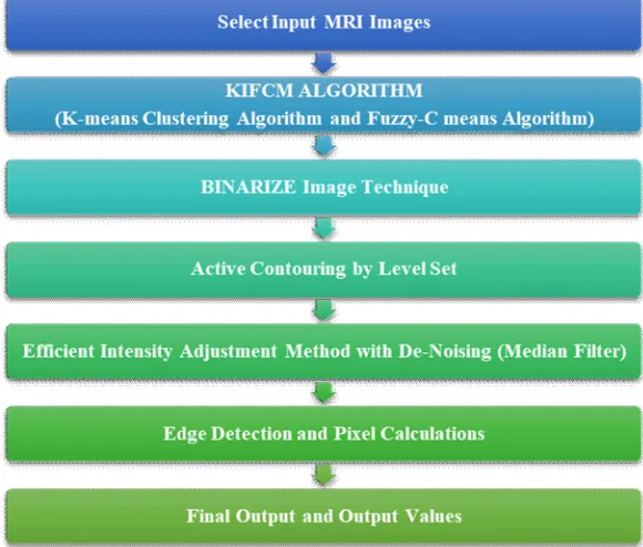 Fig. 4 Image before Pre-Processing 