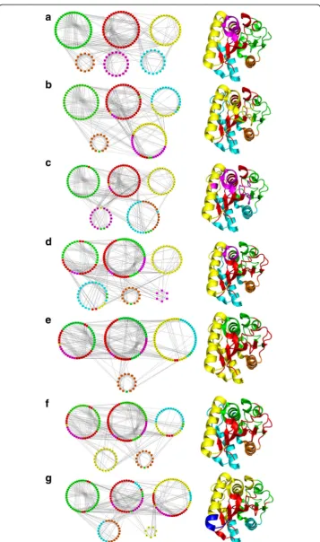 Fig. 7 Reorganisation of communities in WT and six mutant PCNs and their structures. Colour-coding is asper the WT modules