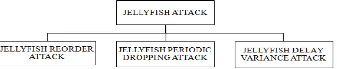 Figure 2: Types of jellyfish attack  