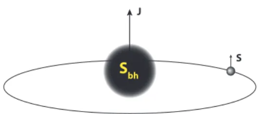 Figure 6.1. A stellar mass spinning black hole or a neutron star is orbiting a supermassive black hole in circular orbits.