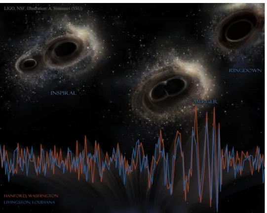 Figure 1.3. The evolution of binaries occur in three stages: in-spiral, merger and ring- ring-down, as shown above
