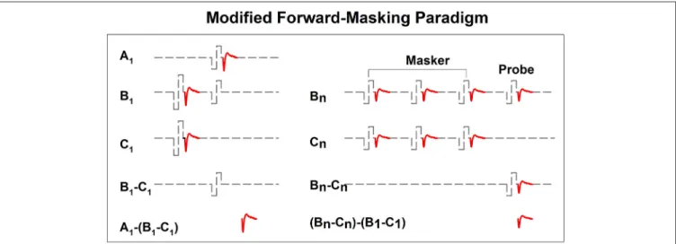 FIGURE 7 | A schematic illustration of the modified forward-masking paradigm that can be used to measure eCAPs evoked by individual pulses in a pulse train