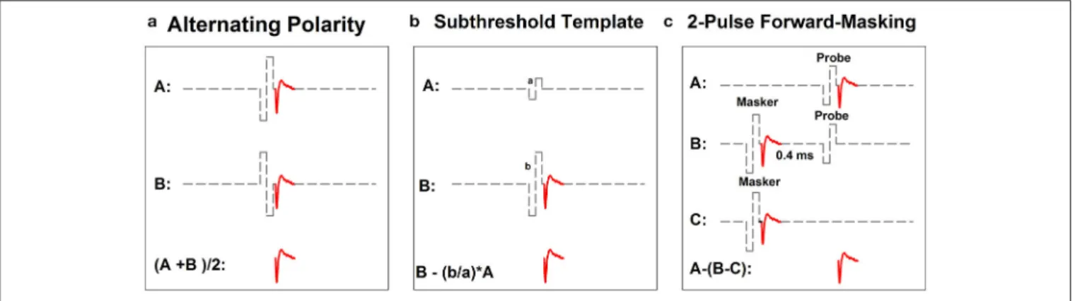 FIGURE 2 | Schematic illustration of three methods for minimizing contamination of stimulus artifact in eCAP recordings: alternating-polarity (a), subthreshold template (b) and 2-pulse forward masking paradigm (c)