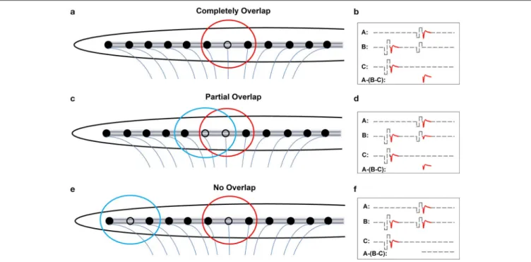 FIGURE 3 | Schematic illustration of effects of increasing distance between the masker- and the probe-electrode on recorded eCAP response
