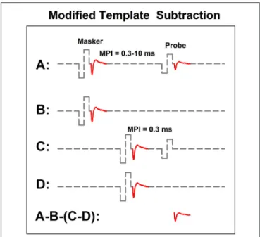 FIGURE 5 | A schematic illustration of the modified template subtraction method for measuring the eCAP refractory recovery function