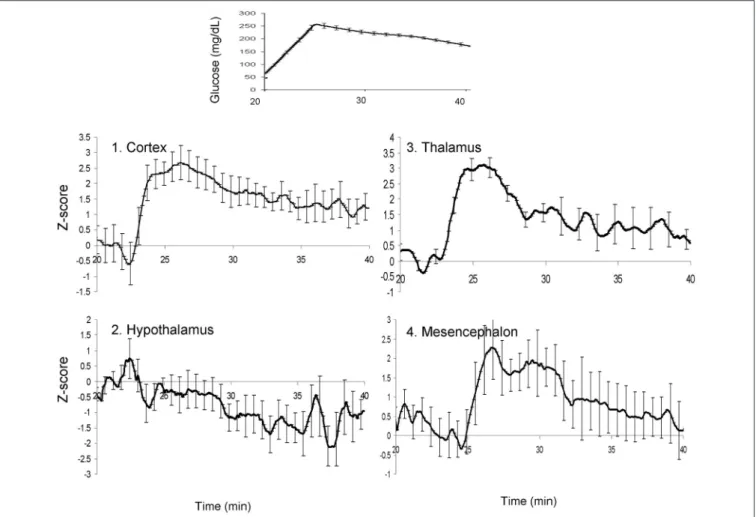 FIGURE 5 | The average time-trends for the blood glucose concentrations (top) and four cerebral regions of interest following glucose uptake.