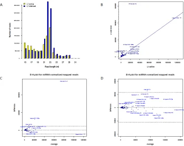 Figure 1: Endo453 sequence controls L1 expression. (A) Sequences of L1-specific endo453 and scrambled control siRNAs are shown