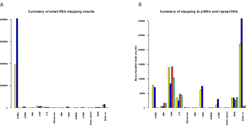 Figure 6: Summary of mapped small RNAs for L1-active and L1-silenced libraries. (a) Barplot showing an overview of the accumulated normalized read counts after mapping L1-active and L1-silenced libraries against miRBase, human deepBase sense and antisense 