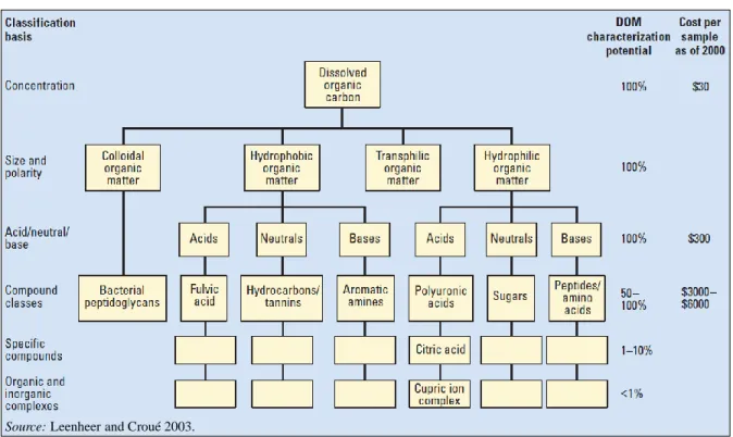 Figure  2.1  identifies  the  key  fractions  identified  by  analysis,  the  characterization  potential,  and the associated costs of such DOM characterizations