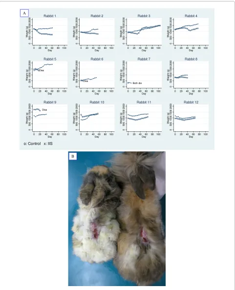 Figure 5 Effect of an IIS treatment on the weight of rabbits undergoing a life threatening condition