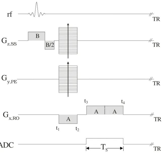 Figure 3.4:  A 3D gradient echo imaging sequence in which the two directions orthogonal to the read direction are phase encoded.