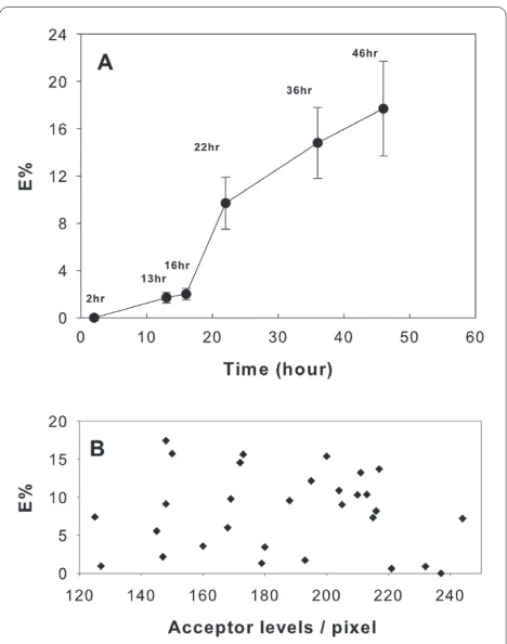 Figure 2 FRET measurementsas a function of time from the maturation stimulus. The data and the Standard Errors (±SE) refer to FRET measurements performed over at least three fields for each sample (n = 3-5) and different ROIs (n = 30-55) inside the bleache