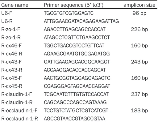 Table 1. The list of primers