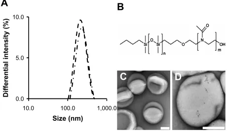 Figure 1 chemical composition, size, and morphology of PDMs-PMOXa Ps-containing QDs. (A) size distribution of Ps determined by Dls