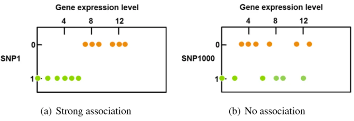 Figure 1.2: Examples of associations between a gene expression level and two different SNPs
