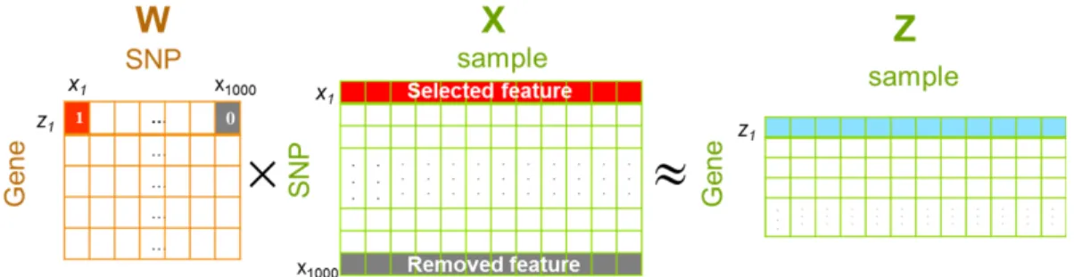 Figure 1.3: Association weights estimated by Lasso on the example data