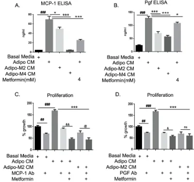 FIGURE 7: MCP-1 and Pgf neutralization blocked adipocyte potentiation of ID8 proliferation