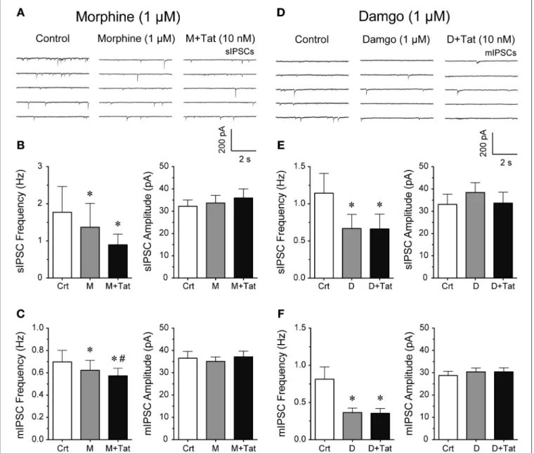 FIGURE 2 | Morphine and damgo significantly decreased the frequency of IPSCs with Tat inducing a further depression of mIPSCs only in combination with morphine