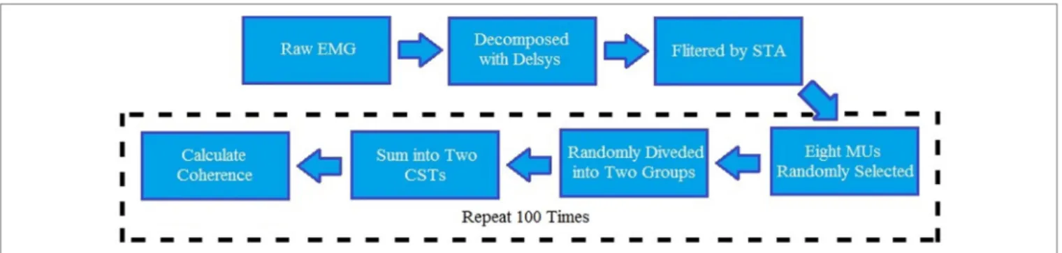 FigUre 2 | block diagram for the entire data analysis. EMG, electromyography; STA, spike trigger average algorithm; CST, composite spike train; MU,   motor unit.