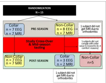 FigUre 2 | study subject allocation following randomization. Subjects  randomly assigned to the collar (n  = 7) or no-collar group (n = 8) for the first  half of the season were crossed-over at the mid-season time point